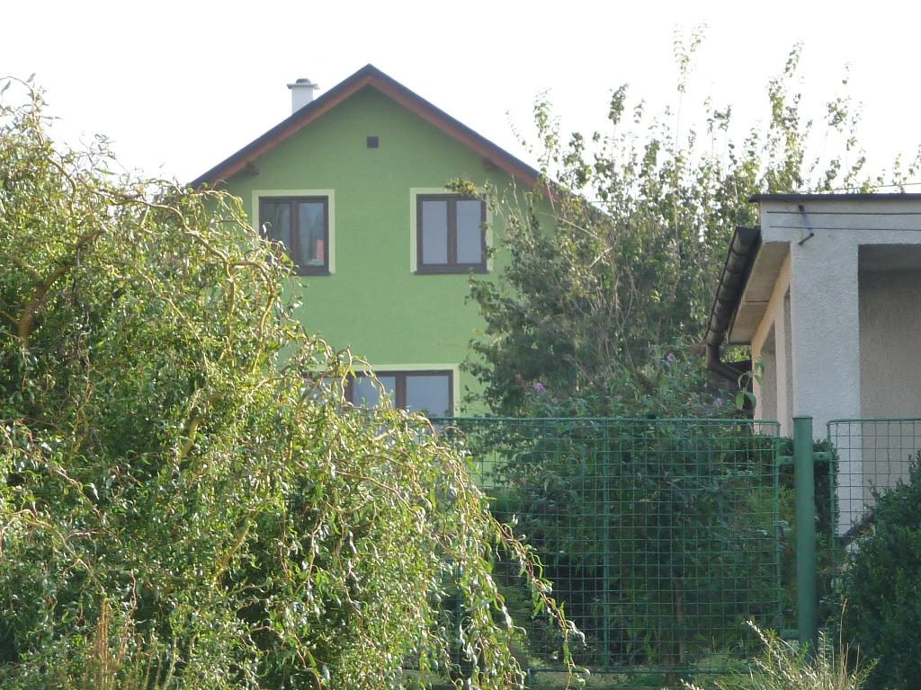 Třibřichy